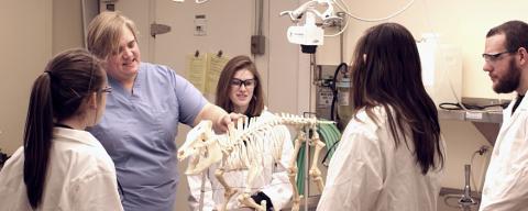 Pre-vet students look over an animal skeleton with Professor Inga Sidor