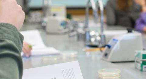 Students in the lab.